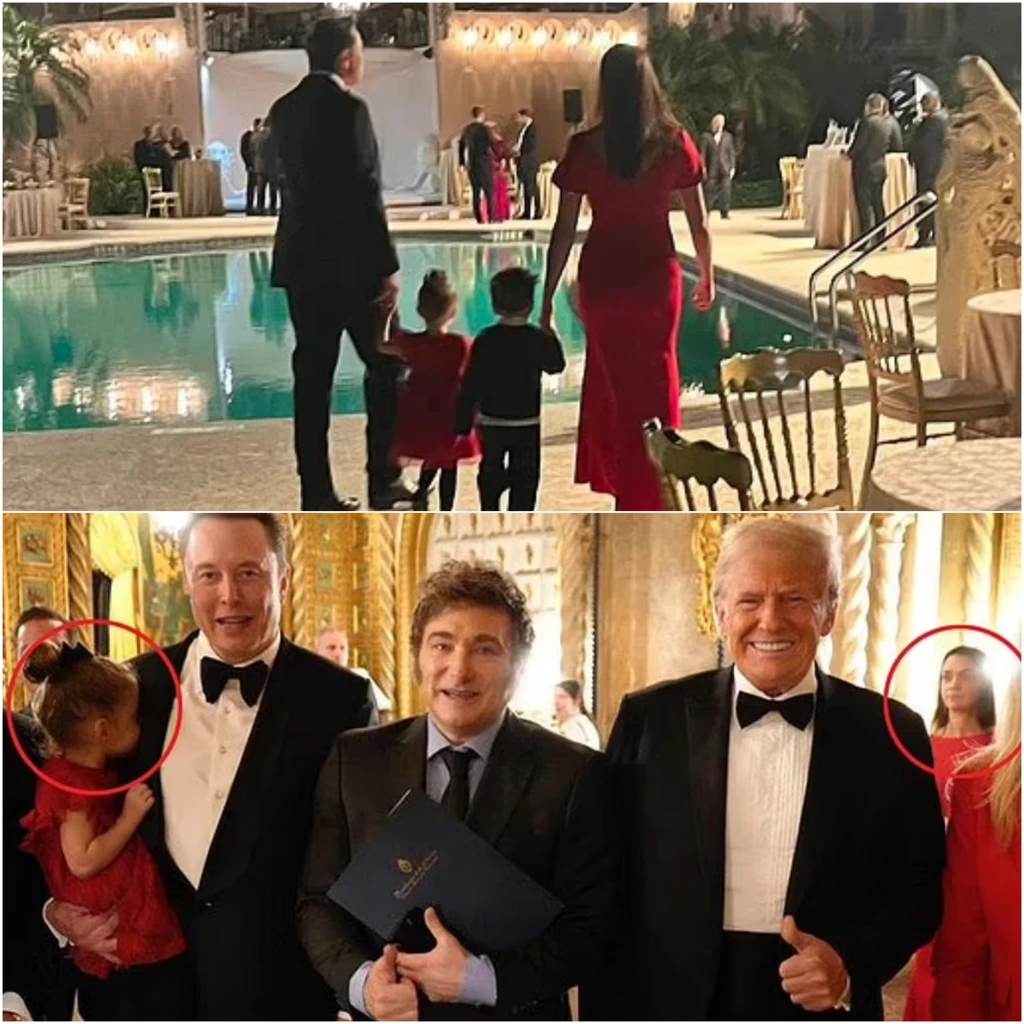 Elon Musk’s mysterious relationship with his baby momma takes a twist ...