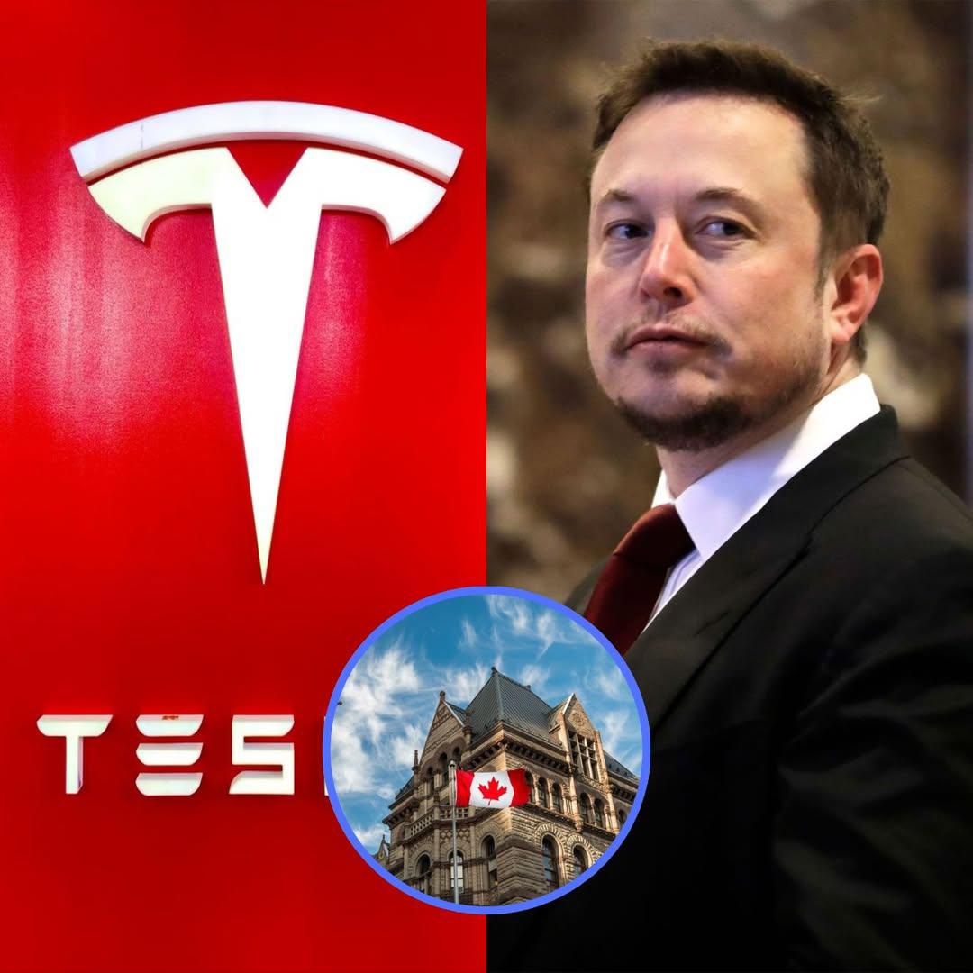 Elon Musk Confirms Tesla Dojo Shutdown: The Future Is Uncertain - 3w03u11