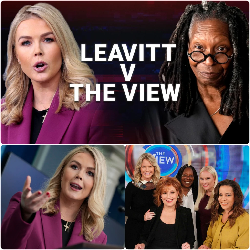 Hollywood in Shock Caroline Leavitt Slams The View with 800M Lawsuit(02)