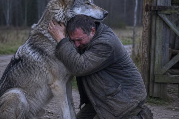 For Five Winters, a Lone Wolf Came Back to an Empty Cabin Gate! Then a...