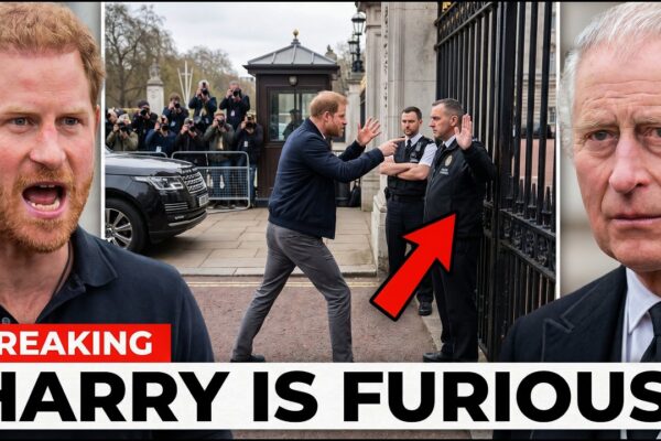 “PRINCE HARRY FURIOUS: PALACE REJECTS HIS SECURITY DEMAND, SPARK...