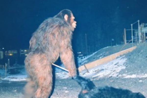 PART 5: Pipeline Welder’s Helmet Cam Caught Bigfoot Dragging a B...